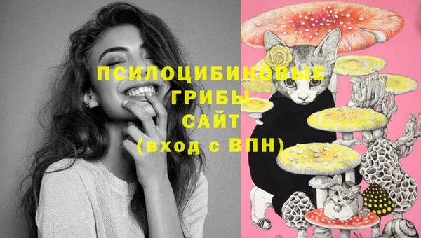 герыч Нея