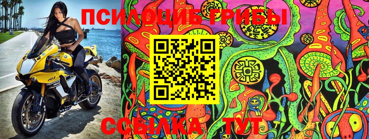 даркнет сайт  Хабаровск  Псилоцибиновые грибы Psilocybe 