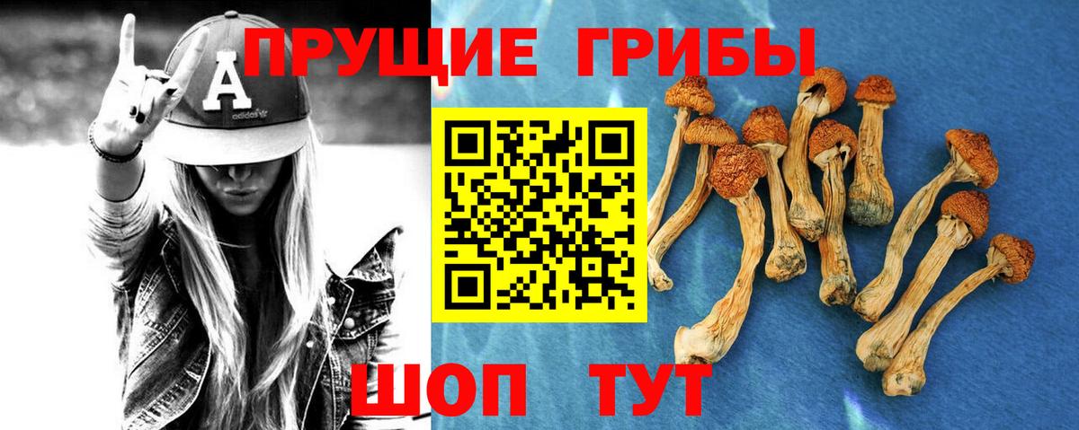 Галлюциногенные грибы Psilocybe  сколько стоит  Галлюциногенные грибы прущие грибы  Хабаровск  Вход с VPN 