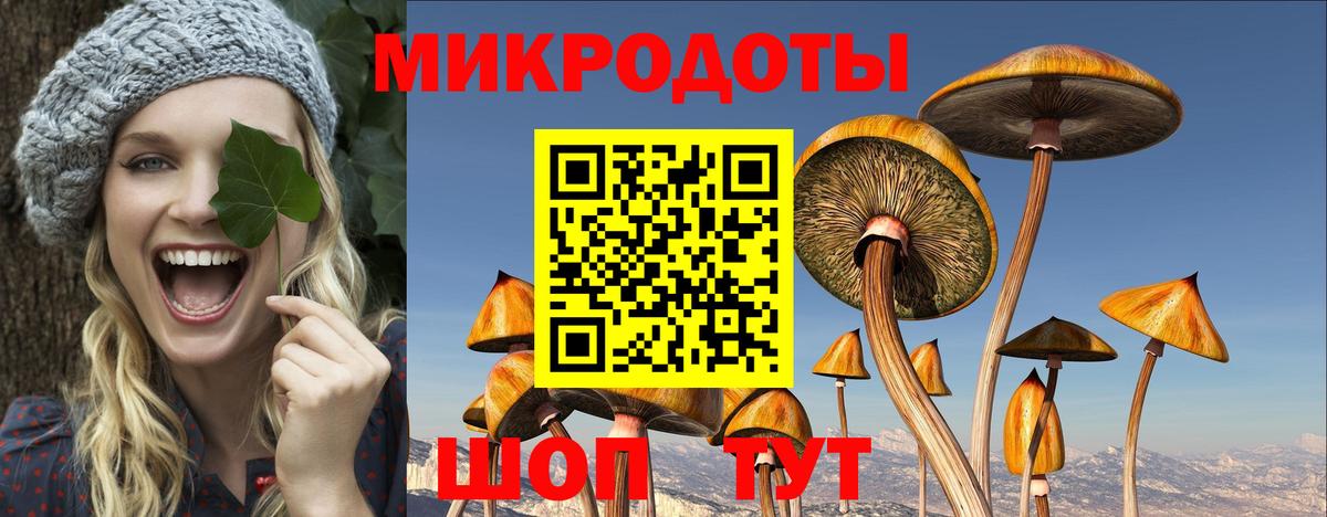 Галлюциногенные грибы Cubensis Хабаровск