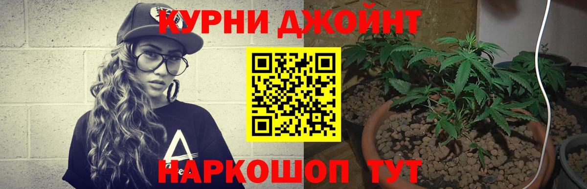 Бошки марихуана семена  Каннабис OG Kush  Хабаровск  Бошки Шишки MAZAR 